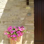 Le Querce Serra San Quirico