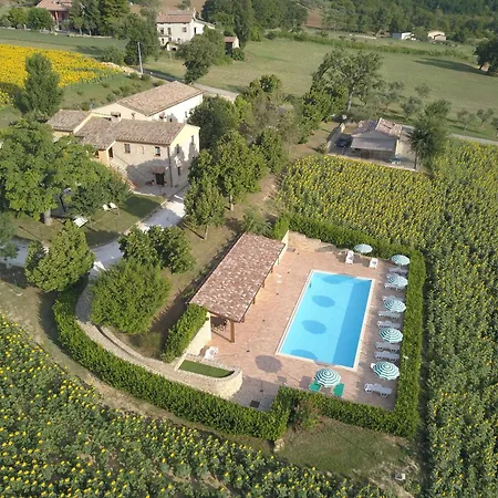 Le Querce Serra San Quirico