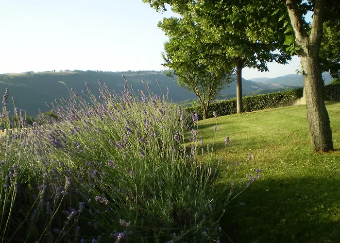 Le Querce * Serra San Quirico