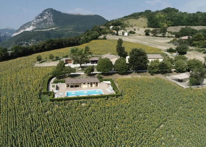 Le Querce Serra San Quirico