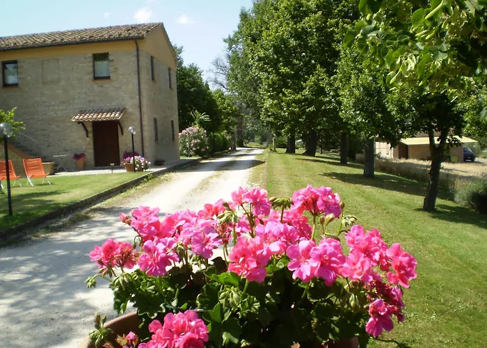 Le Querce Feriegård Serra San Quirico