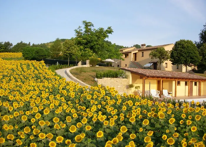 Feriegård Le Querce *