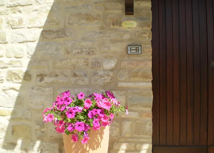 Le Querce Serra San Quirico